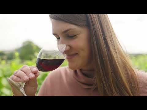 1000 Stories Pinot Noir