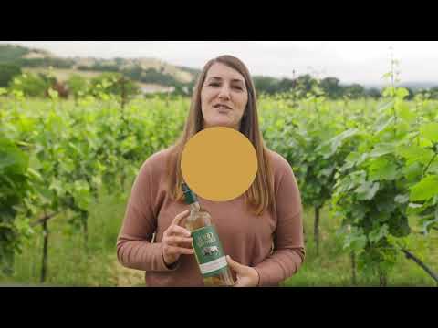 1000 Stories Sauvignon Blanc
